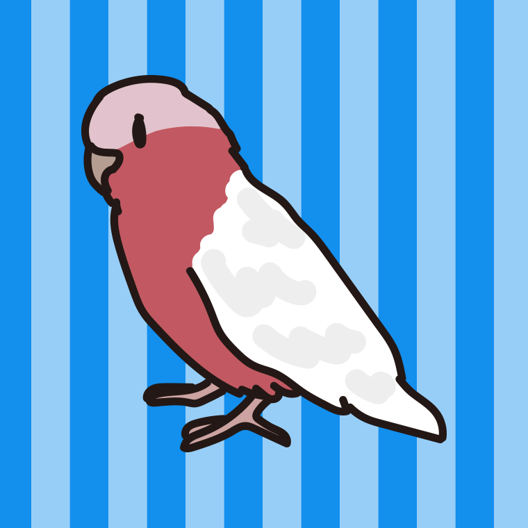 モモイロインコのイラスト【色、背景あり】PNG