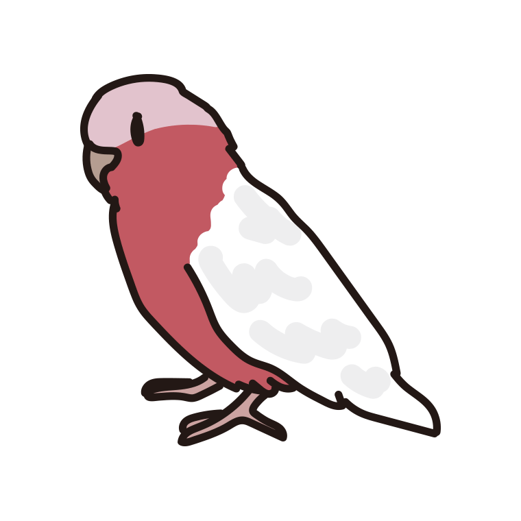 モモイロインコのイラスト【色あり、背景なし】透過PNG