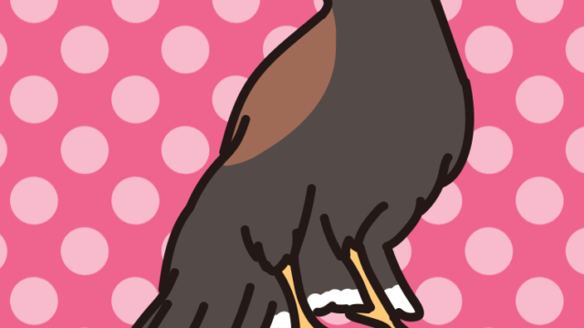 ハリスホークのイラスト【色、背景あり】PNG