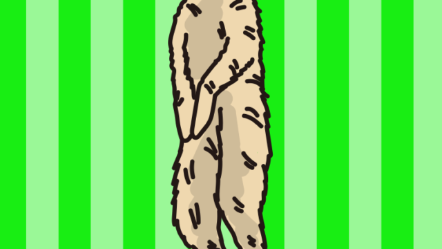 ミーアキャットのイラスト【色、背景あり】PNG