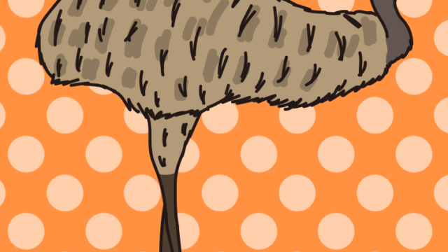 エミューのイラスト【色、背景あり】PNG