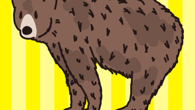 ヒグマのイラスト【色、背景あり】PNG