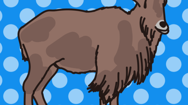 バーバリーシープのイラスト【色、背景あり】PNG