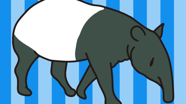 マレーバクのイラスト【色、背景あり】PNG