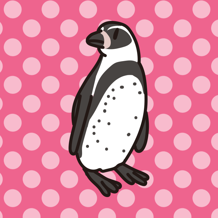 フンボルトペンギンのイラスト【色、背景あり】PNG