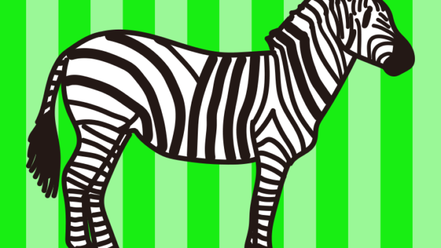 シマウマのイラスト【色、背景あり】PNG