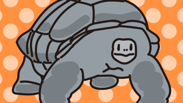 アルダブラゾウガメのイラスト【色、背景あり】PNG