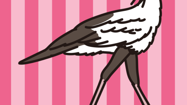 ヘビクイワシのイラスト【色、背景あり】PNG