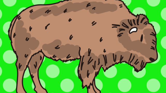 アメリカバイソンのイラスト【色、背景あり】PNG