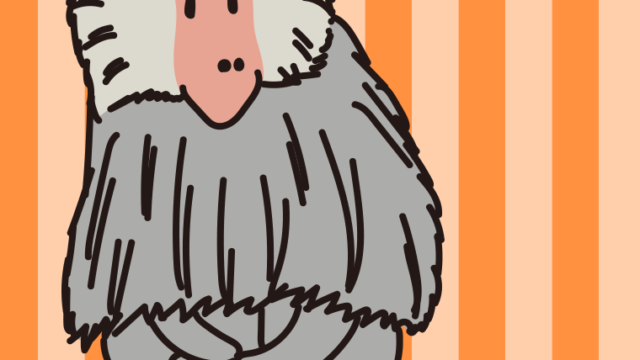 マントヒヒのイラスト【色、背景あり】PNG