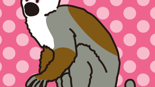 コモンリスザルのイラスト【色、背景あり】PNG