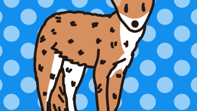 ホンドギツネのイラスト【色、背景あり】PNG