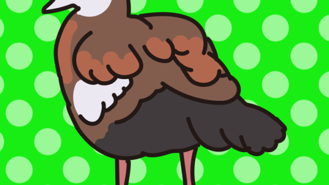 エジプトガンのイラスト【色、背景あり】PNG