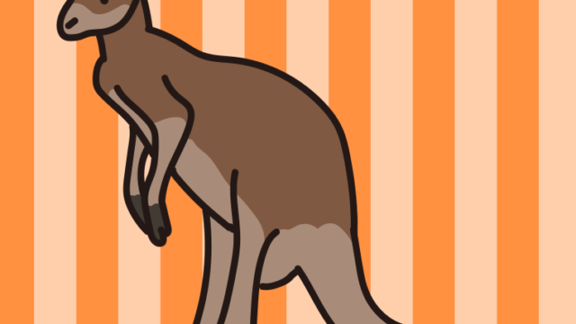 アカカンガルーのイラスト【色、背景あり】PNG