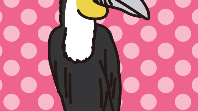 シワコブサイチョウのイラスト【色、背景あり】PNG