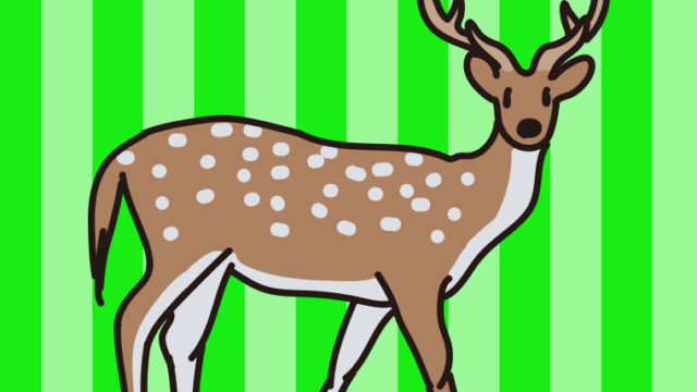 アクシスジカのイラスト【色、背景あり】PNG