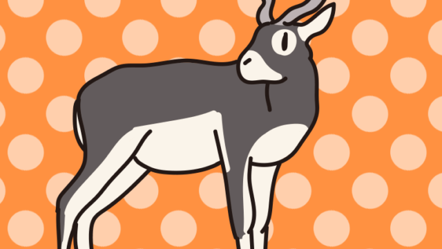 ブラックバックのイラスト【色、背景あり】PNG