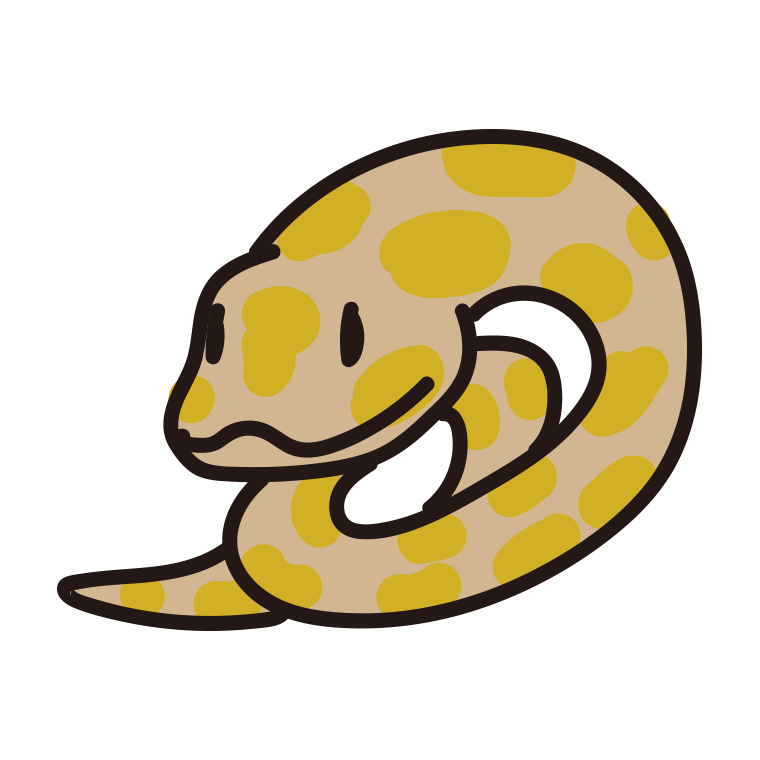 ビルマニシキヘビのイラスト【色あり、背景なし】透過PNG