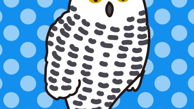 シロフクロウのイラスト【色、背景あり】PNG