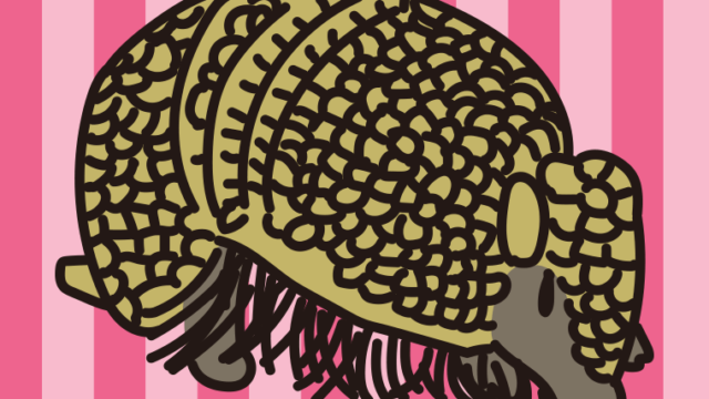 マタコミツオビアルマジロのイラスト【色、背景あり】PNG