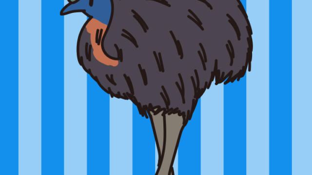 ヒクイドリのイラスト【色、背景あり】PNG