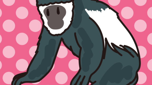 アビシニアコロブスのイラスト【色、背景あり】PNG