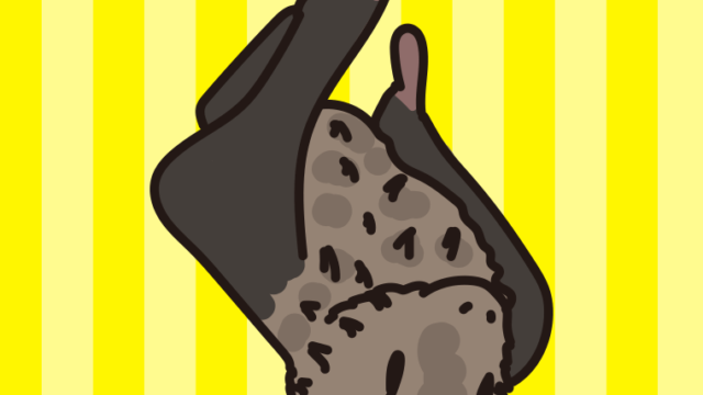 エジプトルーセットオオコウモリのイラスト【色、背景あり】PNG