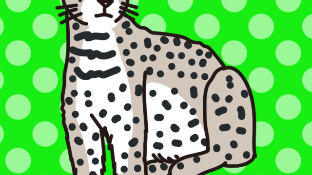 アムールヒョウのイラスト【色、背景あり】PNG