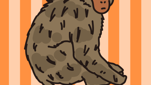 アカゲザルのイラスト【色、背景あり】PNG