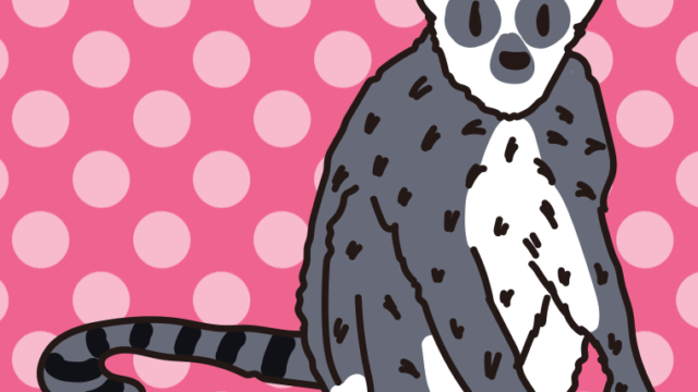 ワオキツネザルのイラスト【色、背景あり】PNG