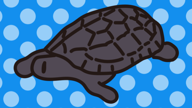 クサガメのイラスト【色、背景あり】PNG