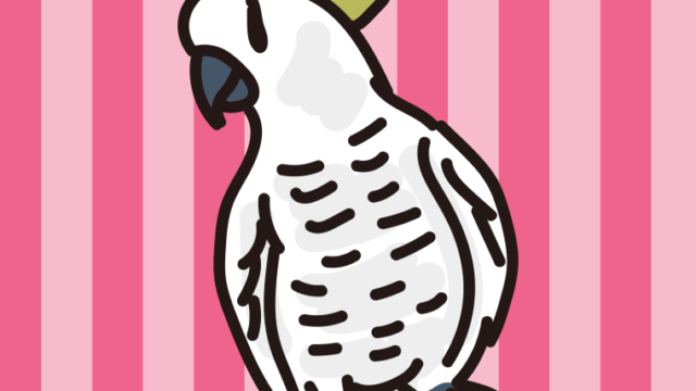 キバタンのイラスト【色、背景あり】PNG