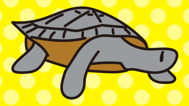 ニシキマゲクビガメのイラスト【色、背景あり】PNG