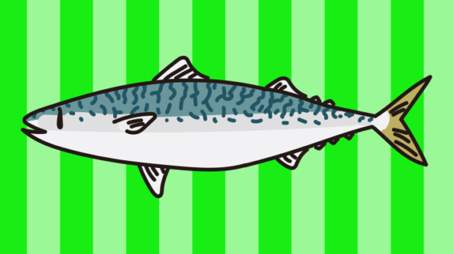 サバのイラスト【色、背景あり】PNG
