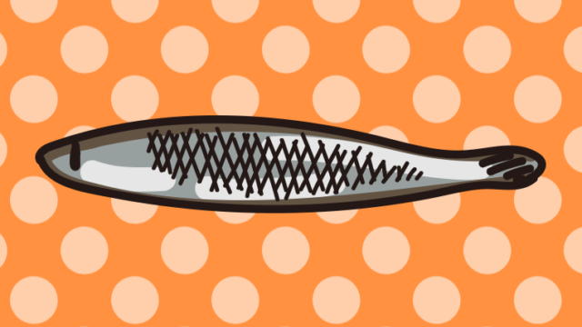 ししゃものイラスト【色、背景あり】PNG