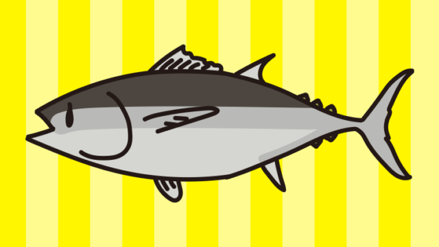 マグロのイラスト【色、背景あり】PNG