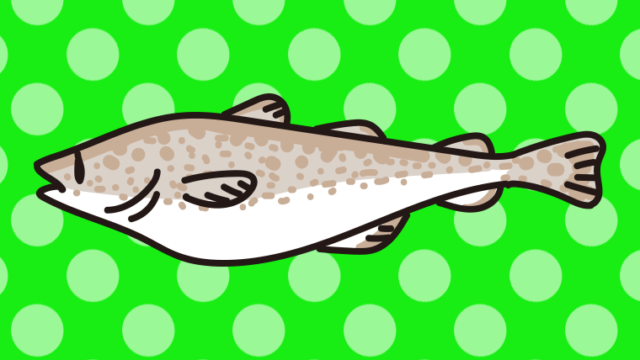 タラのイラスト【色、背景あり】PNG