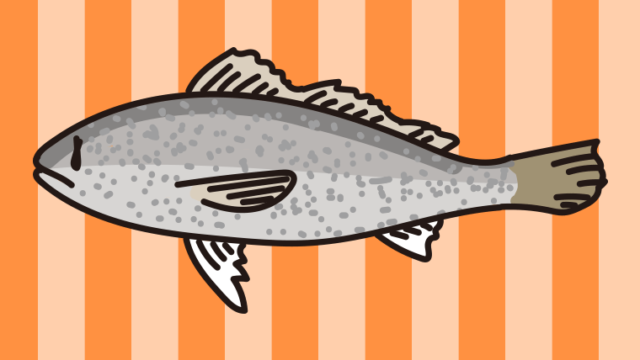 イシモチのイラスト【色、背景あり】PNG