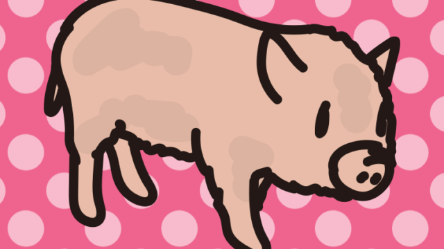 ミニブタのイラスト【色、背景あり】PNG