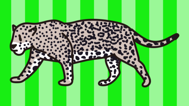 ジャガーのイラスト【色、背景あり】PNG