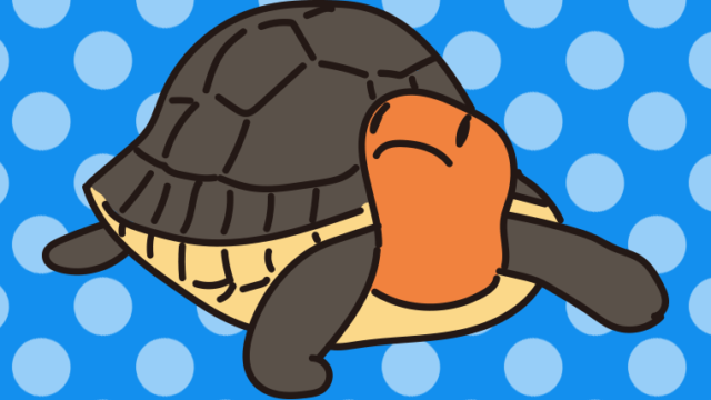 セマルハコガメのイラスト【色、背景あり】PNG