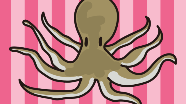 タコのイラスト【色、背景あり】PNG