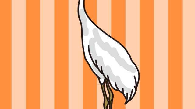 シロエリオオヅルのイラスト【色、背景あり】PNG