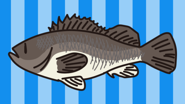 ソイのイラスト【色、背景あり】PNG