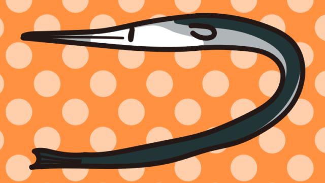 ダツのイラスト【色、背景あり】PNG