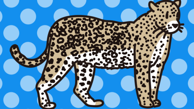 ヒョウのイラスト【色、背景あり】PNG