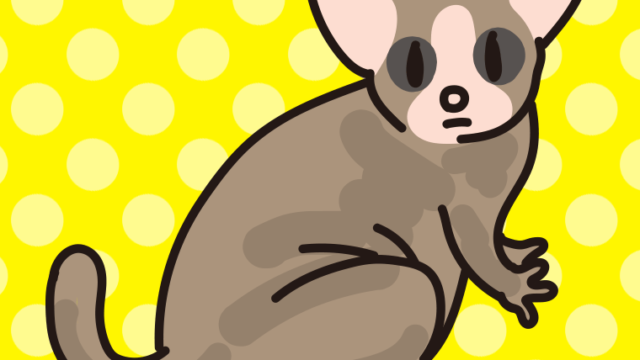 ショウガラゴのイラスト【色、背景あり】PNG