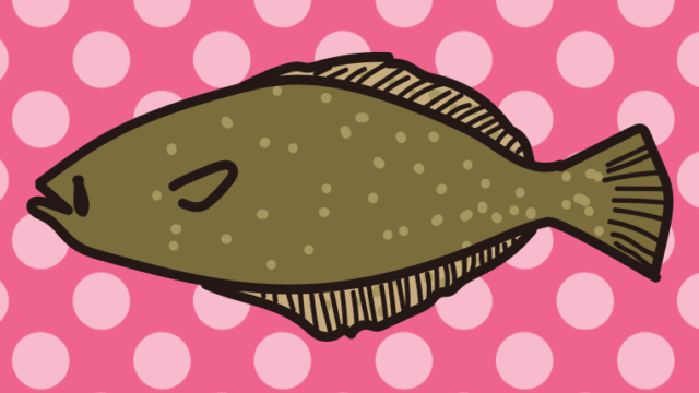 ヒラメのイラスト【色、背景あり】PNG