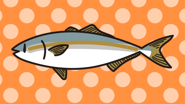 ブリのイラスト【色、背景あり】PNG