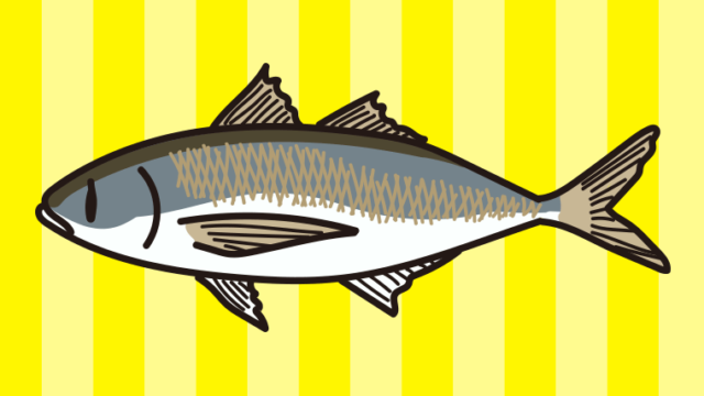 アジのイラスト【色、背景あり】PNG